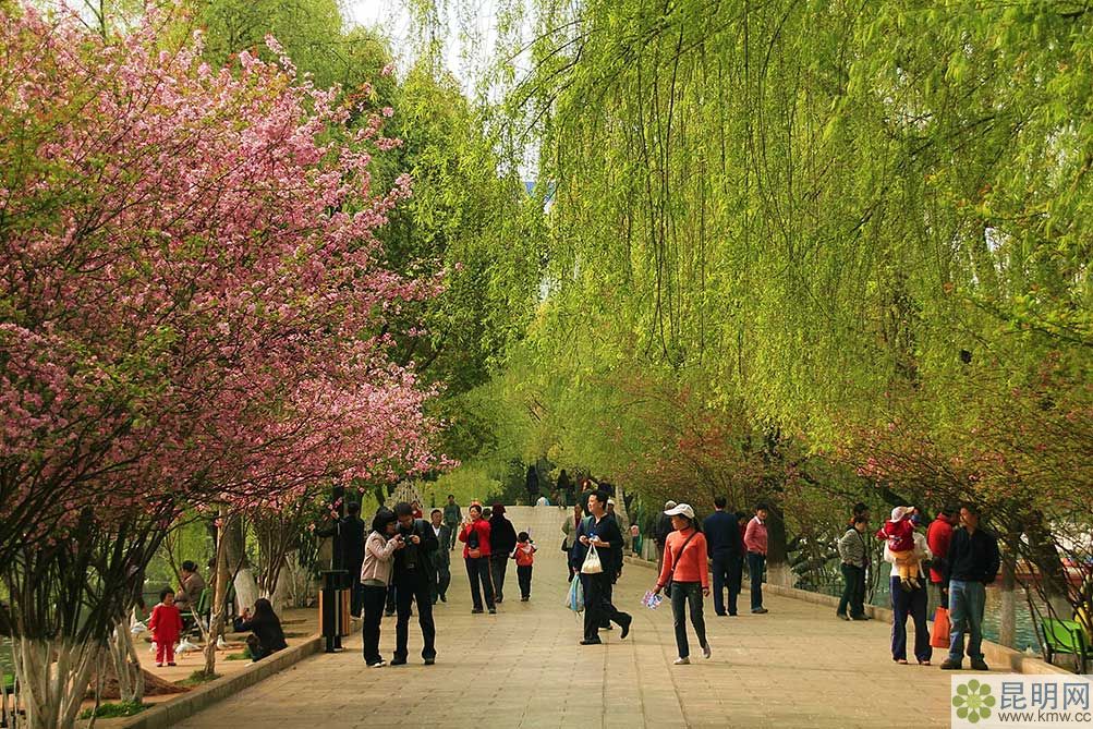 1445323395732284.jpg 翠湖春色.jpg