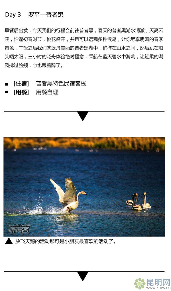 c31a80eda993c752de3aa52c8c240eb4 1_副本 c31a80eda993c752de3aa52c8c240eb4 1_副本