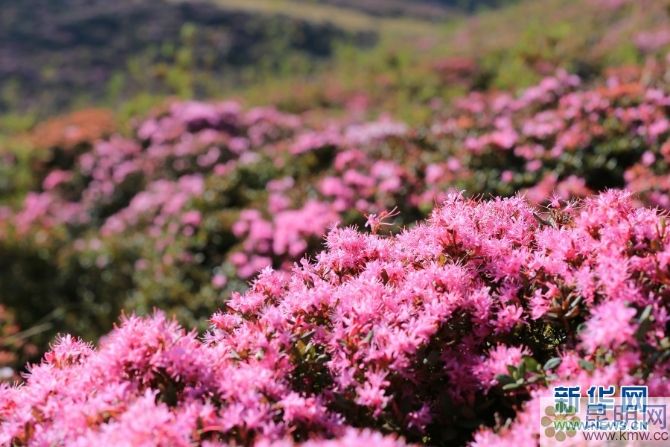 138042772_15572934718561n 138042772_15572934718561n