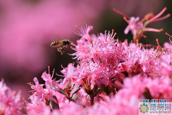 138042772_15572934715531n 138042772_15572934715531n