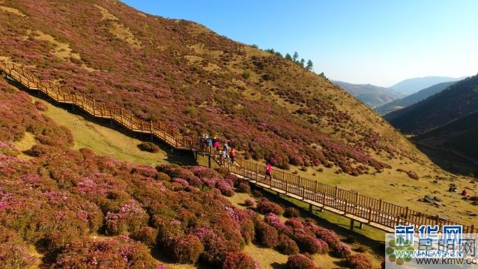 138042772_15572934719921n 138042772_15572934719921n