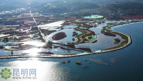 明湖濕地 明湖濕地