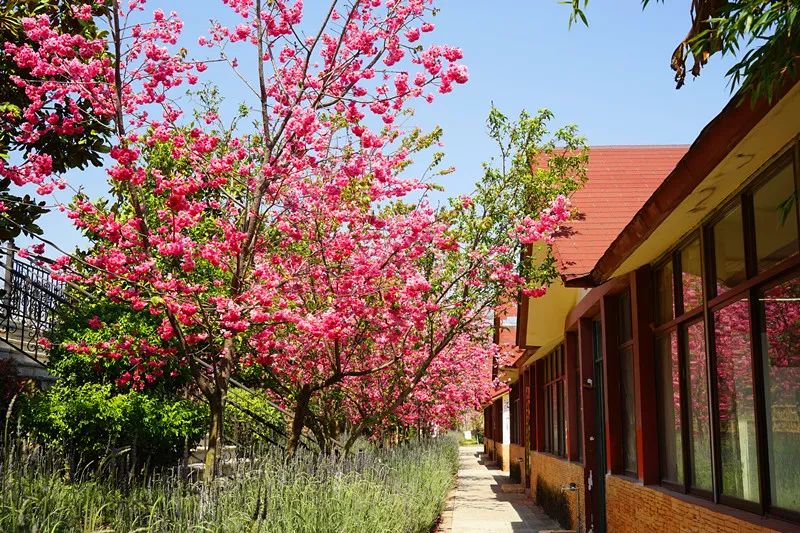 �DƬ�P(gu��n)�I�~