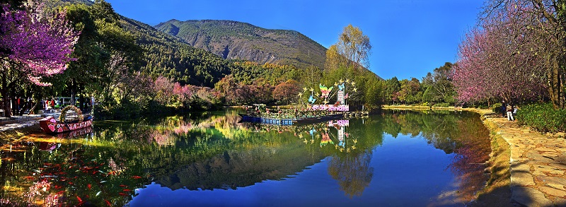 ����Ȫ��4A��-��������